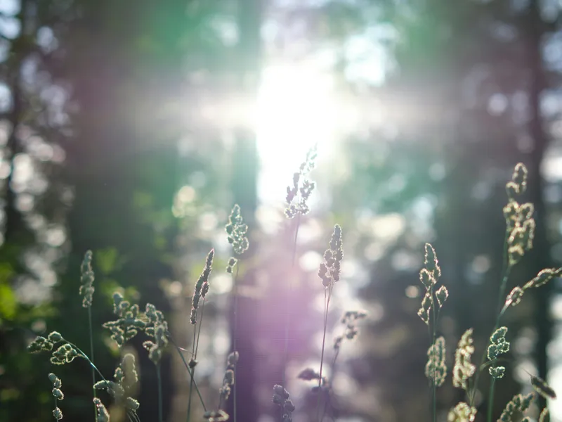 Nature & Adventure